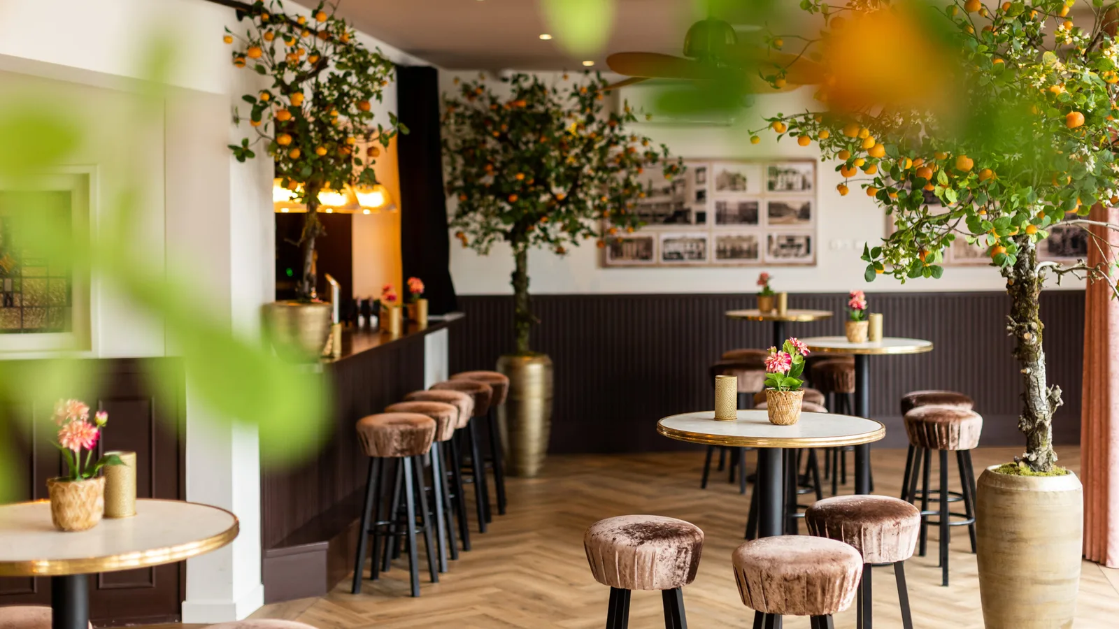 De groene Orangerie met planten, hoge tafels en een houten vloer